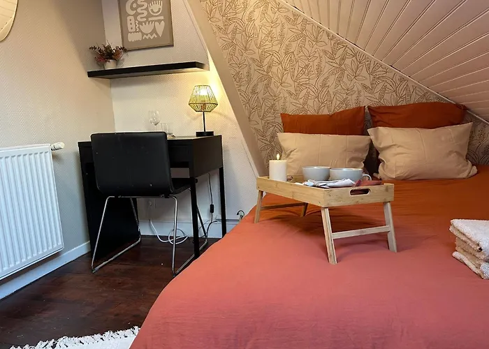 Lerelaisdodile - Suite Studios Confort - Ideal Pro & Couple - Lille Vauban