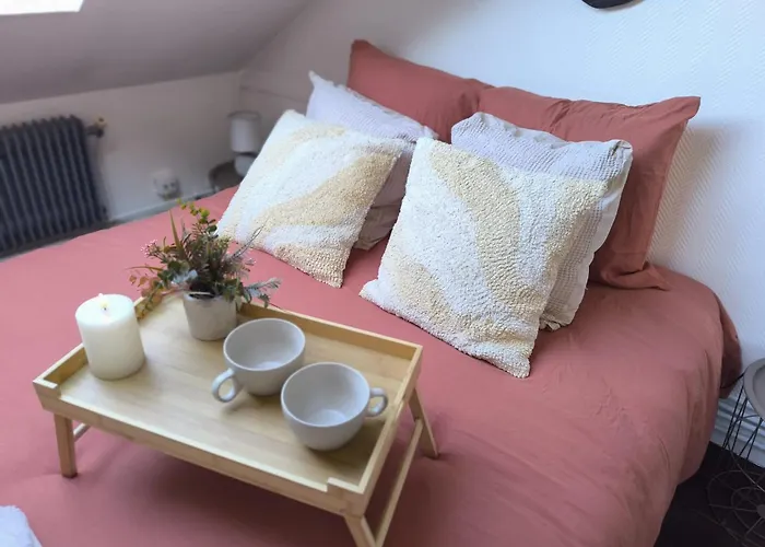 Lerelaisdodile - Suite Studios Confort - Ideal Pro & Couple - Lille Vauban