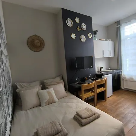 Lerelaisdodile - Suite Studios Confort - Ideal Pro & Couple - Lille Vauban Exterior foto