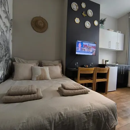 Lerelaisdodile - Suite Studios Confort - Ideal Pro & Couple - Lille Vauban Exterior foto