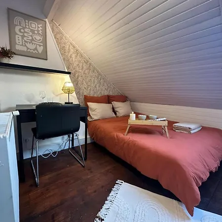 Lerelaisdodile - Suite Studios Confort - Ideal Pro & Couple - Lille Vauban Exterior foto
