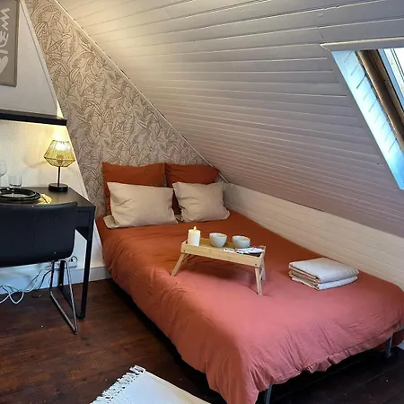 Lerelaisdodile - Suite Studios Confort - Ideal Pro & Couple - Lille Vauban Exterior foto