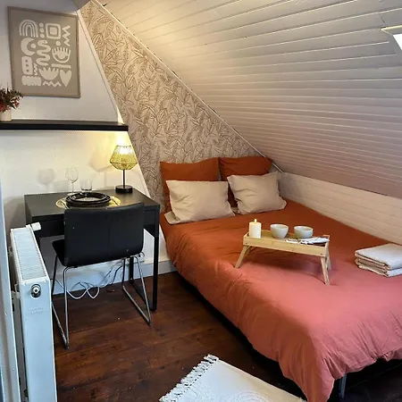 Lerelaisdodile - Suite Studios Confort - Ideal Pro & Couple - Lille Vauban Exterior foto