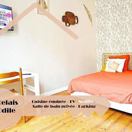 Lerelaisdodile - Suite Studios Confort - Ideal Pro & Couple - Lille Vauban Exterior foto