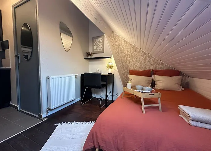 Lerelaisdodile - Suite Studios Confort - Ideal Pro & Couple - Lille Vauban